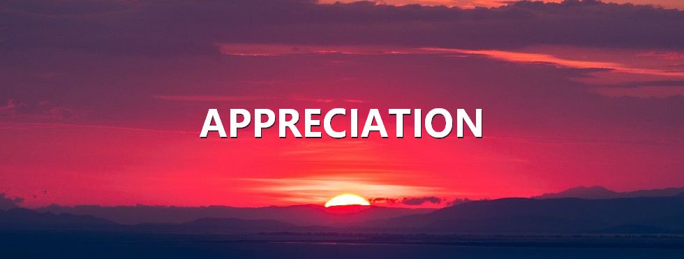 appreciation-icon