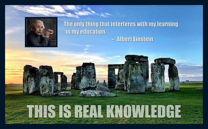 Real-school-educational-website-820