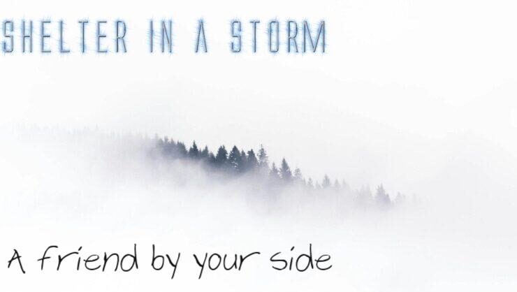 Trees in a blizzard depicting SHELTER IN A STORM: Science with a heart & soul