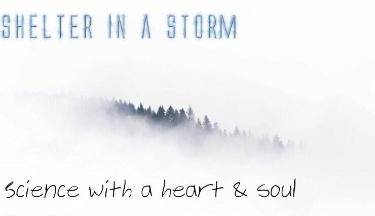 Trees in a blizzard depicting SHELTER IN A STORM: Science with a heart & soul