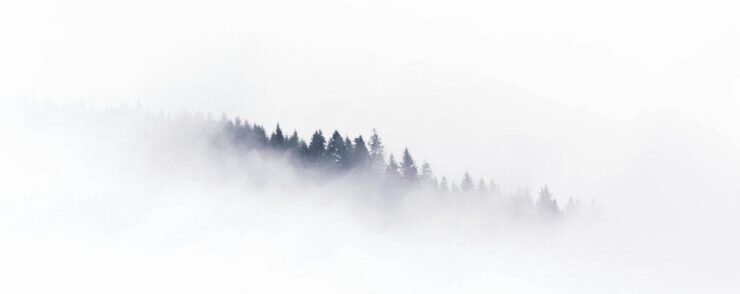Shelter in a storm blizzard
