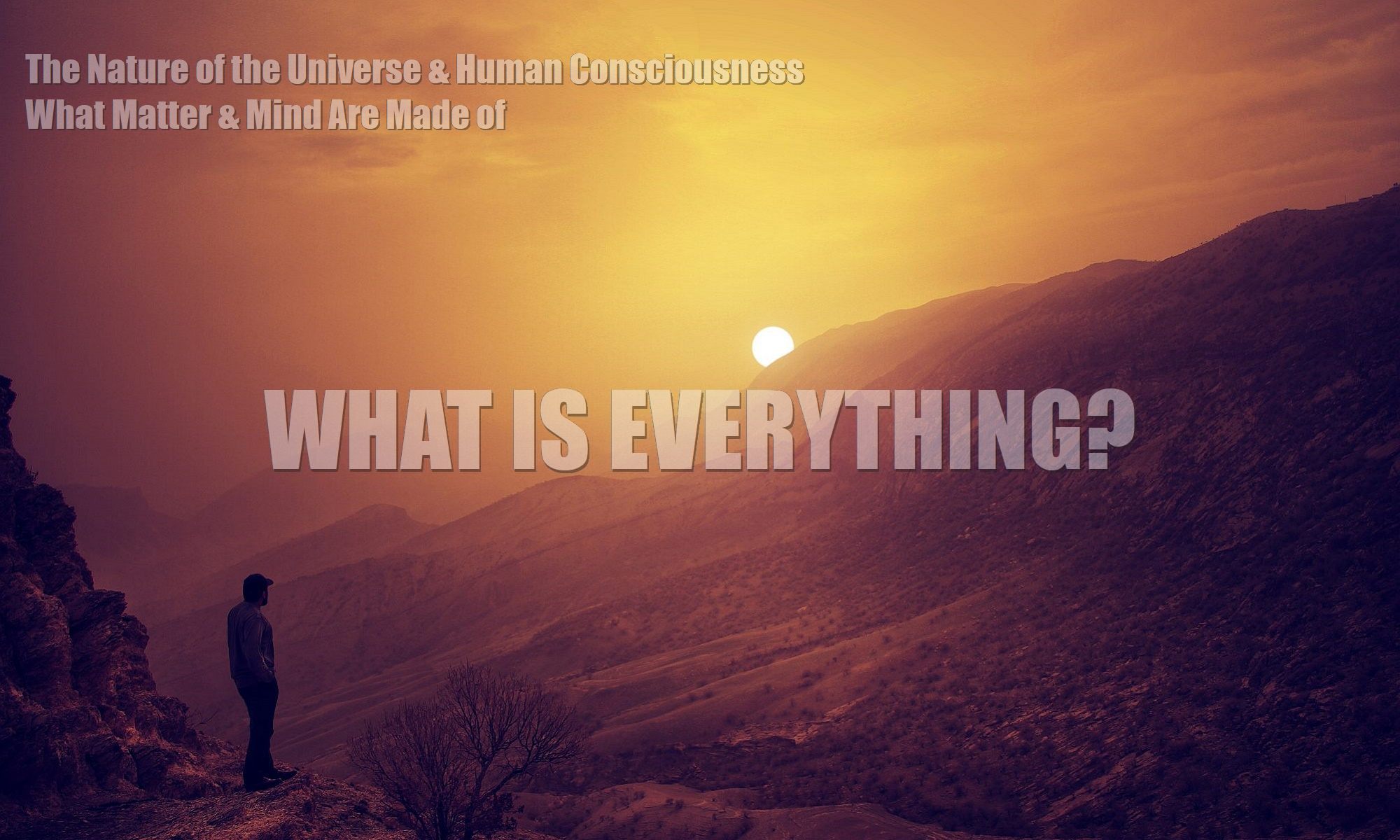 what-is-everything-the-nature-of-the-universe-human-consciousness-what-matter-mind-are-made-of-fields-zpf-2000