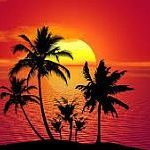 Consciousness is as beautiful as the sunset