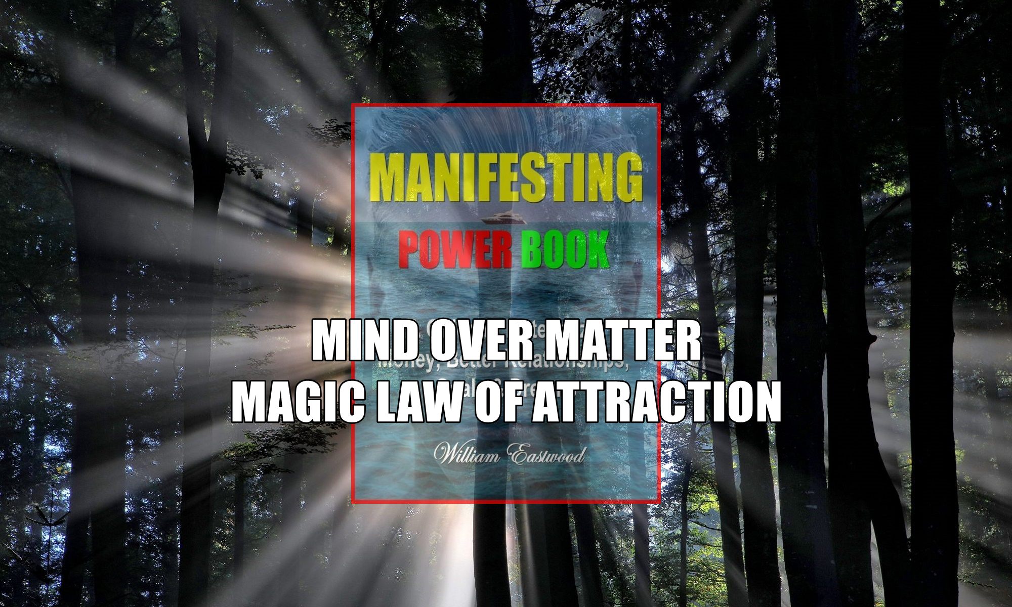 Magic light in forest depicts magic law of attraction & mind over matter