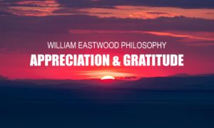 How to use positive emotions affect create events. Thoughts of appreciation and gratitude manifest positive events.