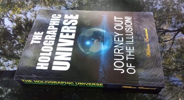 Holographic Universe Journey Out of the Illusion book ebook by William Eastwood 