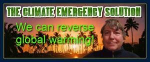 The climate emergency solution by William Eastwood
