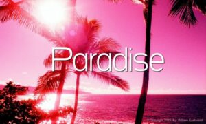 Mind Over Matter Power paradise test community