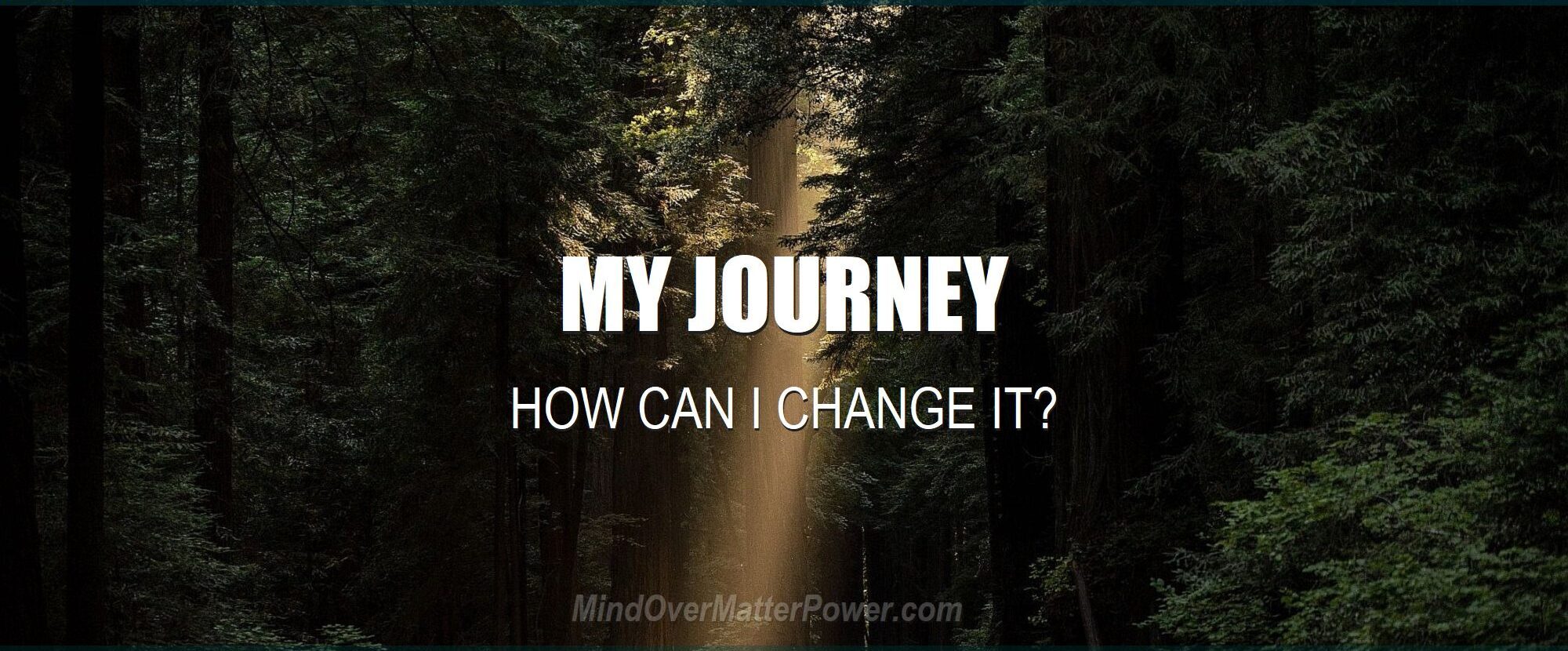 A ray of light illuminating a road through a California forest, featuring the overlay text "MY JOURNEY: How can I change it?"